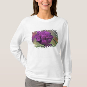 Thailand, Northern Thailand, near Chang Mai, Mae T-Shirt