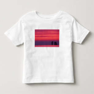 Thailand, Phang Nga Bay. Pink sky reflected in Toddler T-shirt