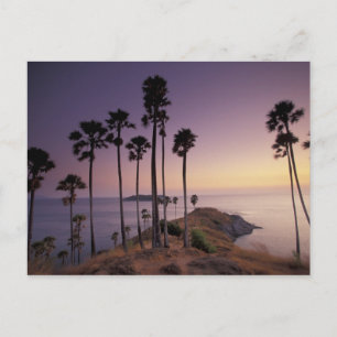 Thailand, Phuket Island. Postcard