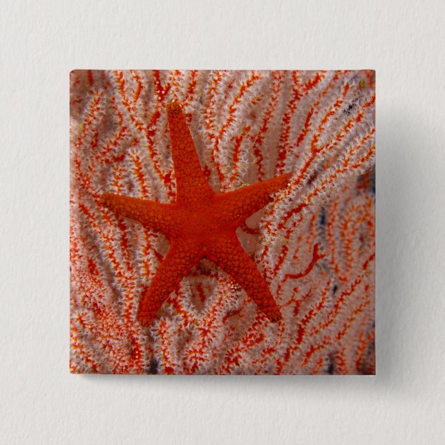 Thailand, Sea Star Aka Starfish 2 Inch Square Button (Front)