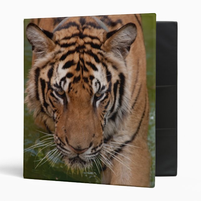 Thailand Tiger Avery Binder (Front/Inside)