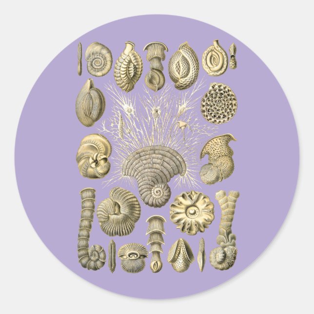 Thalamophora Classic Round Sticker (Front)