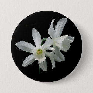 Thalia Narcissus Black and White Daffodil Button