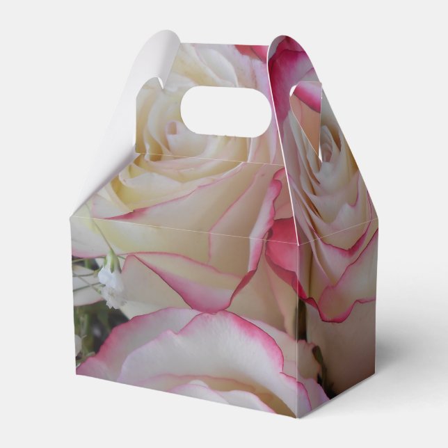 Thamar Favor Box (Back Side)