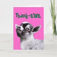 Thank-EWE Miniature Goat Card