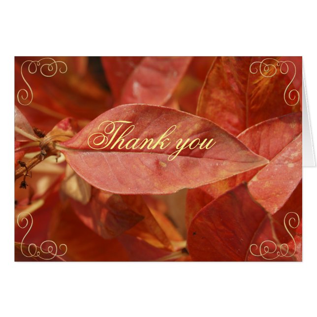 thank you (Front Horizontal)