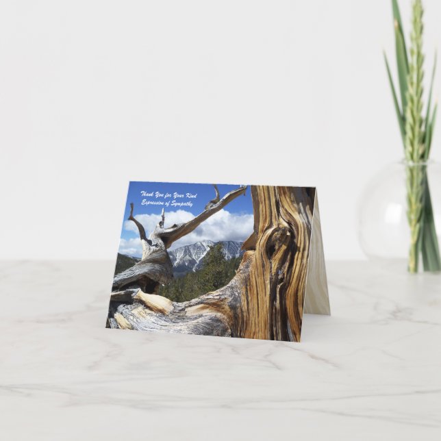 Thank You 4 Sympathy Mountain Thru Tree Note Card (Front)