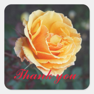 Thank You About Face Rose #3 Stickers