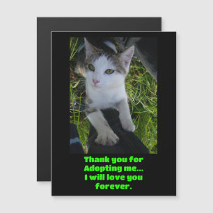 Thank you adopting me..will love you forever Cat