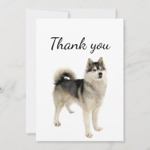 Thank You American Eskimo Malamute Dog Pet Animal  Card