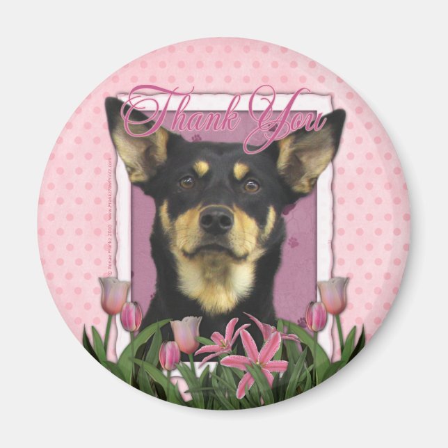 Thank You - Australian Kelpie - Jude Magnet (Front)