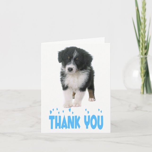 Thank You Australian Shepherd Puppy Dog (Front)