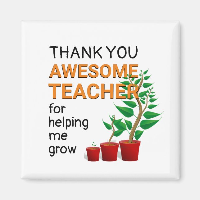 Thank You Awesome Teacher Magnet (Front)