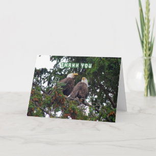 Thank You, Bald Eagles Card