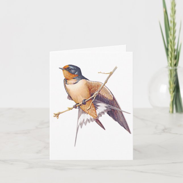 Thank You - Barn Swallow (Front)