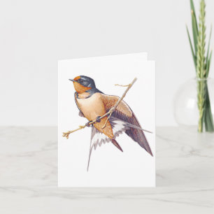 Thank You - Barn Swallow