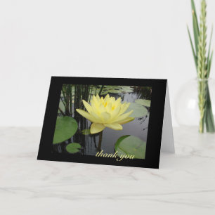 Thank You - Beautiful Water Lily Card