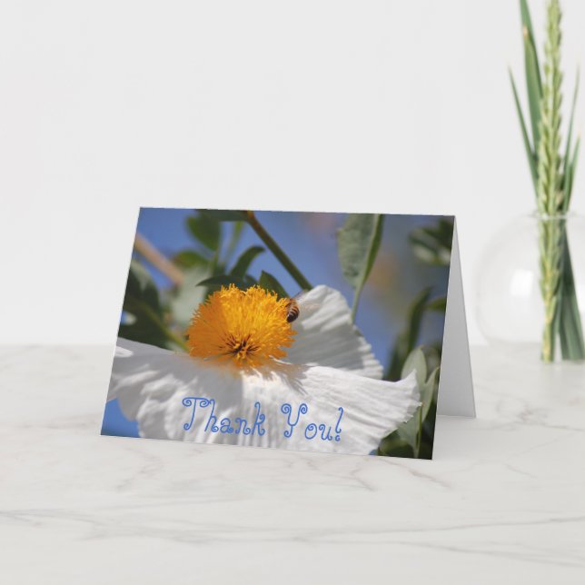 Thank you Bee (Front)