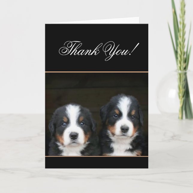 Thank You Bernese mountain dog pups card (Front)