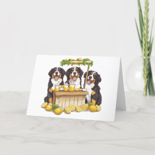 Thank You Bernese Mountain Dogs Lemonade Stand Card