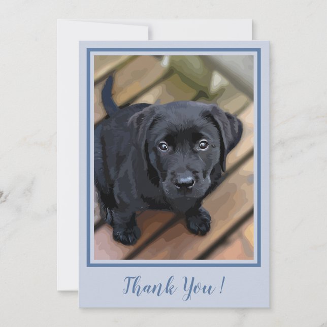 Thank You Black Lab Puppy - Blue Cute Labrador Dog Card (Front)