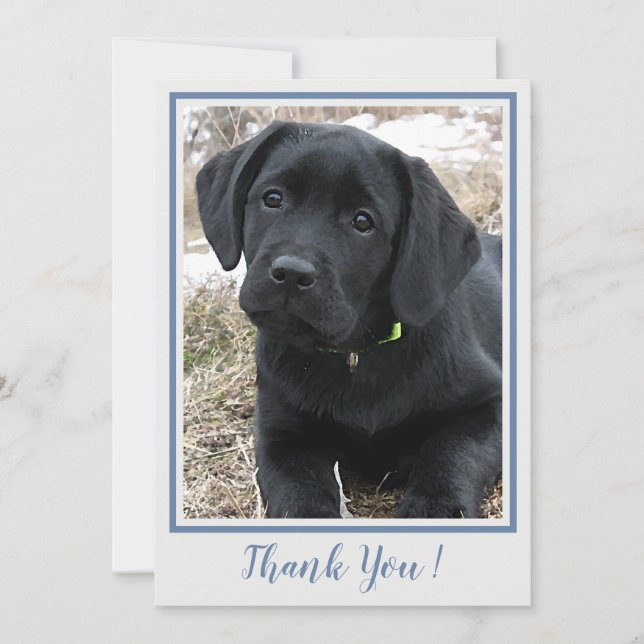Thank You Black Labrador- Blue Grey Cute Puppy Dog (Front)