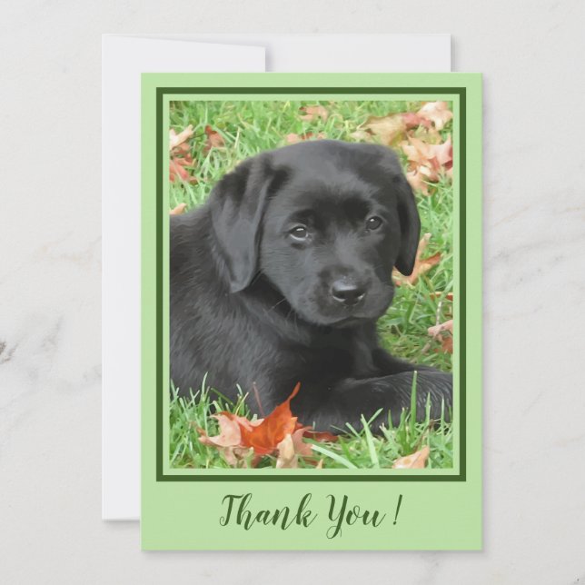 Thank You Black Labrador Puppy - Autumn Cute Dog (Front)