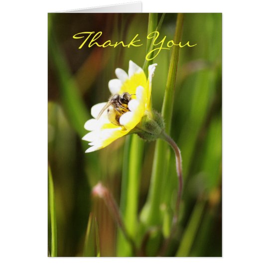 Thank You, Blank Card