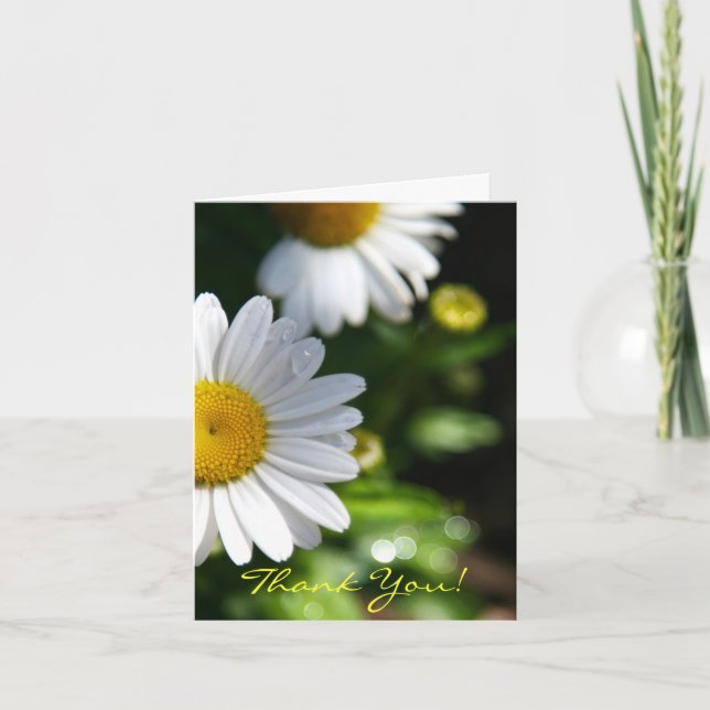 Thank You Blank, Daisy Card (Front)