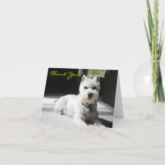 Thank You, Blank, Mini Schnauzer You Card