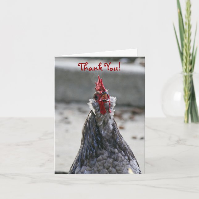 Thank You, Blank, Rooster Thank You Card (Front)