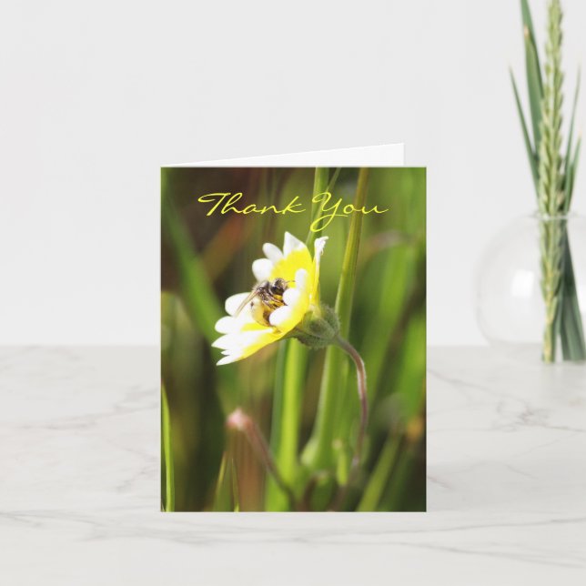 Thank You, Blank Thank You Card (Front)