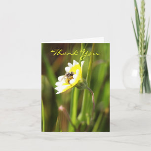 Thank You, Blank Thank You Card