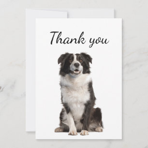 Thank You Border Collie Dog Pet Animal