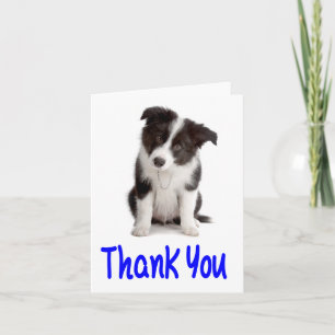 Thank You Border Collie Puppy Blank Note Card