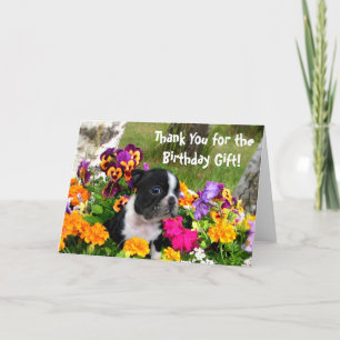 Thank You Boston Terrier greeting card
