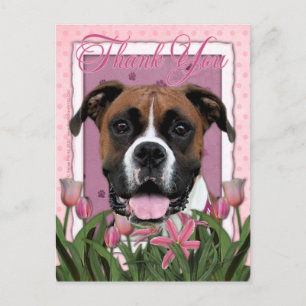 Thank You - Boxer - Vindy Postcard