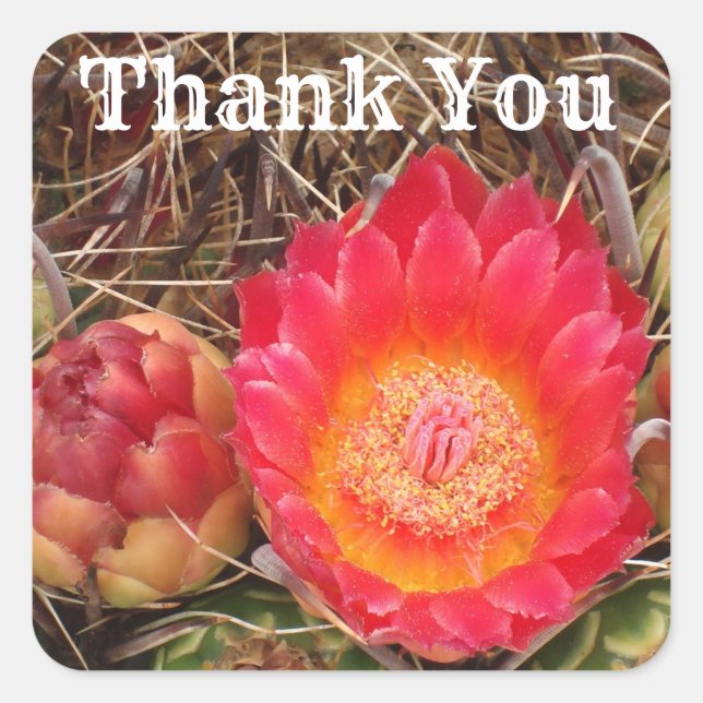 Thank You Bright Cactus Flower Photo Appreciation Square Sticker (Front)