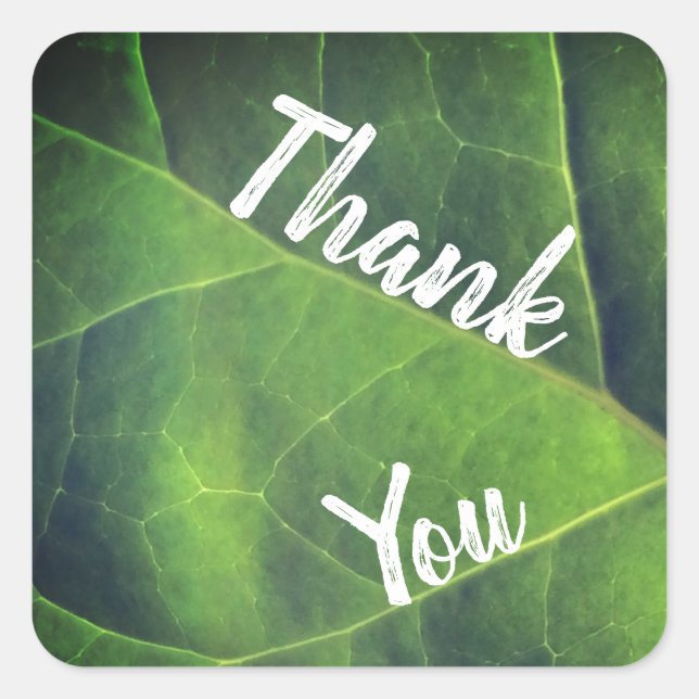 Thank You Bright Green Leaf Appreciation Square Sticker (Front)