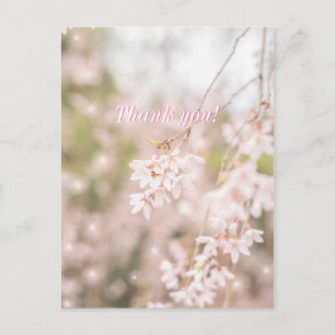 Thank you Bright Weeping Cherry Sparkles Postcard