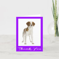 Thank You Brittany Spaniel Puppy Dog Card