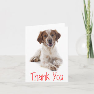 Thank You Brittany Spaniel Puppy Dog Card