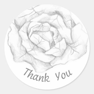Thank You Cabbage Garden Vegetable Pencil Art Classic Round Sticker