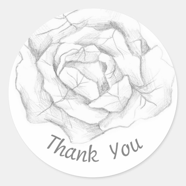 Thank You Cabbage Garden Vegetable Pencil Art Classic Round Sticker (Front)