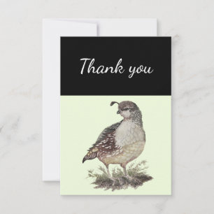 Thank You California Quail Bird Nature Art Card