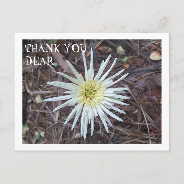 THANK YOU CARD (Front)