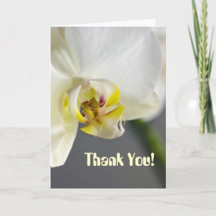 Thank You! Card