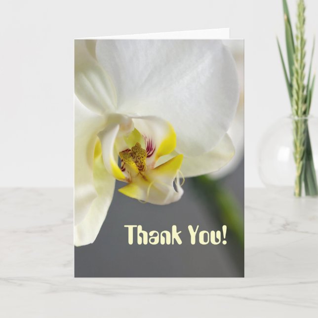 Thank You! Card (Front)