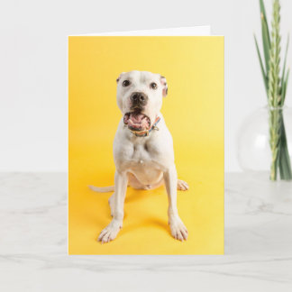 Thank you card