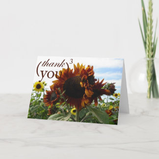 Thank You Card